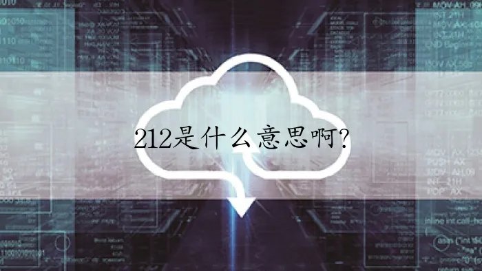 212是什么意思啊?
