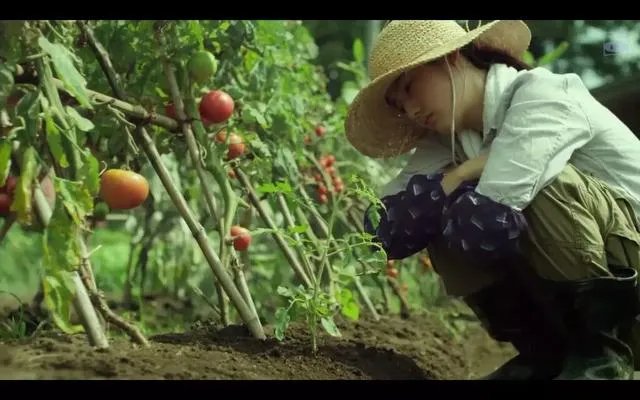 你私藏了哪些美食类电脑壁纸愿意分享?