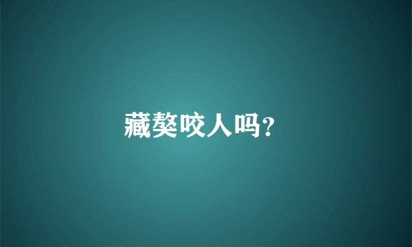 藏獒咬人吗？