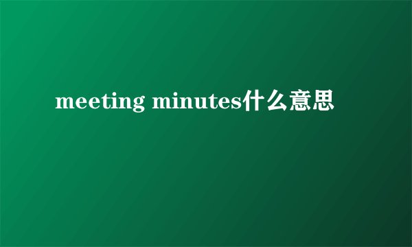 meeting minutes什么意思