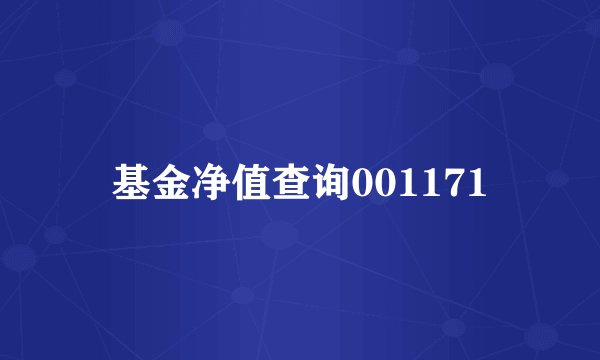 基金净值查询001171