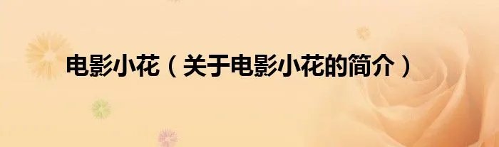 电影小花（关于电影小花的简介）