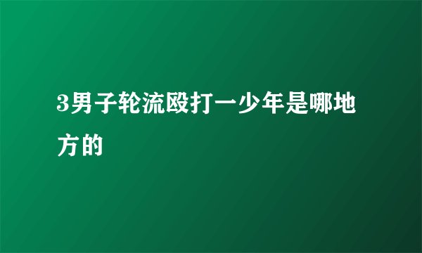 3男子轮流殴打一少年是哪地方的