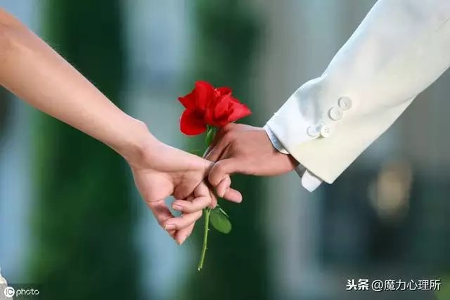 十二生肖排列表，十二生肖排列顺序表图片