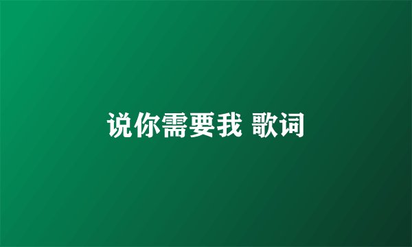 说你需要我 歌词