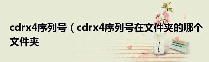 cdrx4序列号(cdrx4序列号在文件夹的哪个文件夹