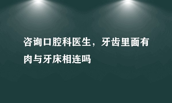 咨询口腔科医生，牙齿里面有肉与牙床相连吗