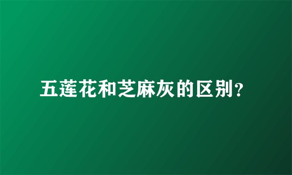 五莲花和芝麻灰的区别?