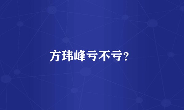方玮峰亏不亏?