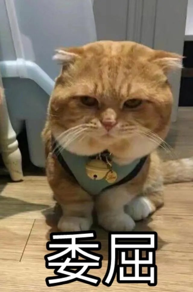 网络与新媒体专业怎么样?