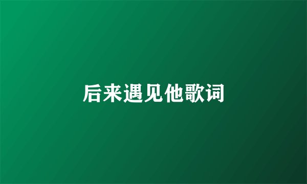 后来遇见他歌词