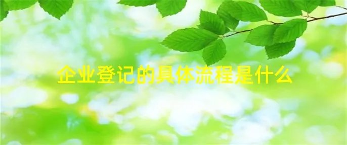 企业登记的具体流程是什么