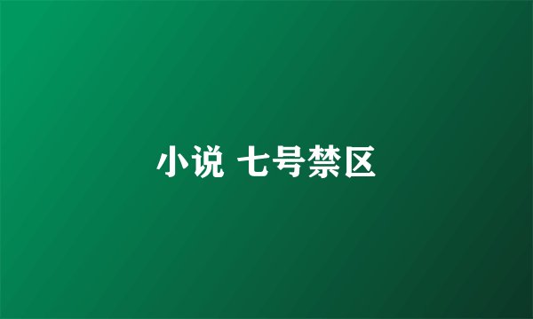 小说 七号禁区