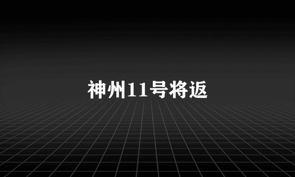神州11号将返