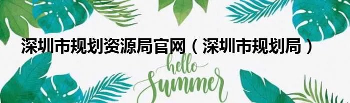 深圳市规划资源局官网(深圳市规划局)