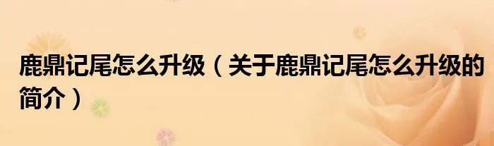 鹿鼎记尾怎么升级（关于鹿鼎记尾怎么升级的简介）