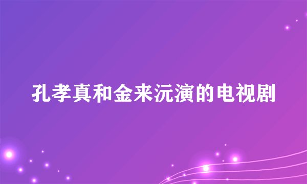 孔孝真和金来沅演的电视剧