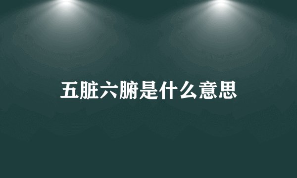 五脏六腑是什么意思