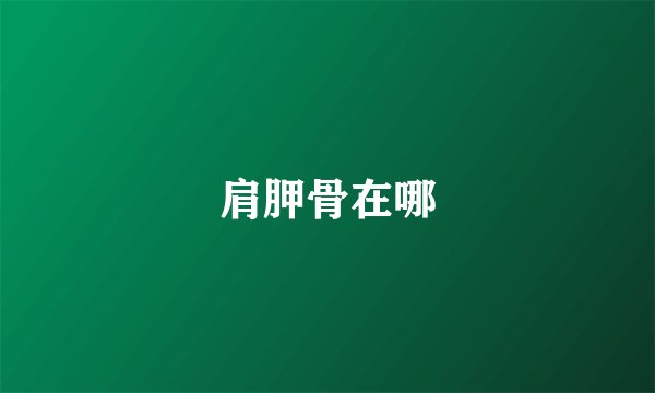 肩胛骨在哪