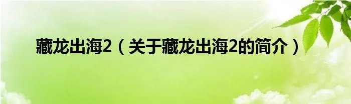 藏龙出海2（关于藏龙出海2的简介）