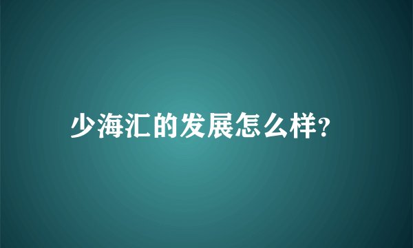 少海汇的发展怎么样?