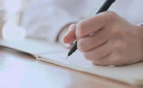 小动物的作文