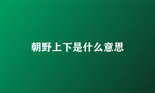 朝野上下是什么意思