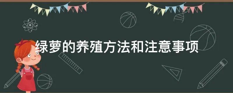 绿萝的养殖方法和注意事项
