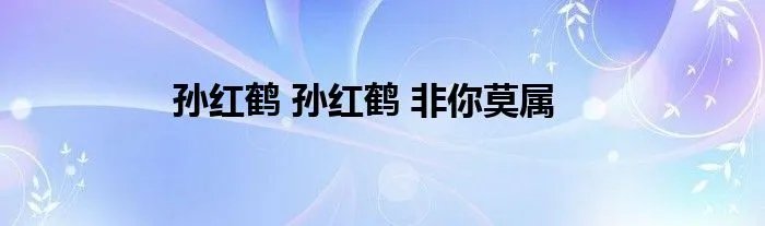 孙红鹤 孙红鹤 非你莫属