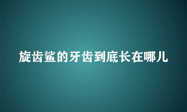旋齿鲨的牙齿到底长在哪儿