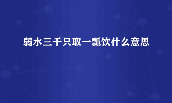 弱水三千只取一瓢饮什么意思