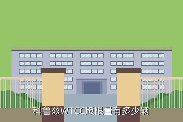 科鲁兹wtcc版,科鲁兹WTCC运动版