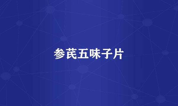 参芪五味子片
