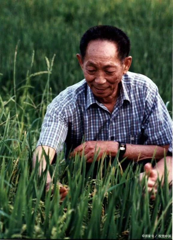 中国最著名的科学家有哪些?