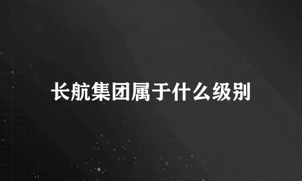 长航集团属于什么级别
