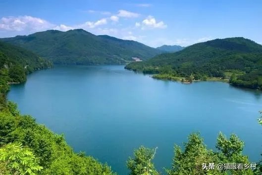 雨后池塘水浑浊怎么处理?