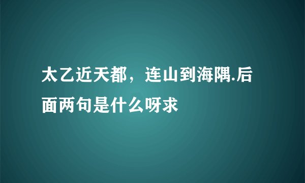 太乙近天都，连山到海隅.后面两句是什么呀求