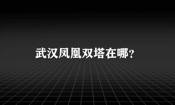武汉凤凰双塔在哪？