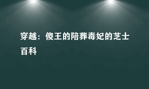 穿越:傻王的陪葬毒妃的芝士百科