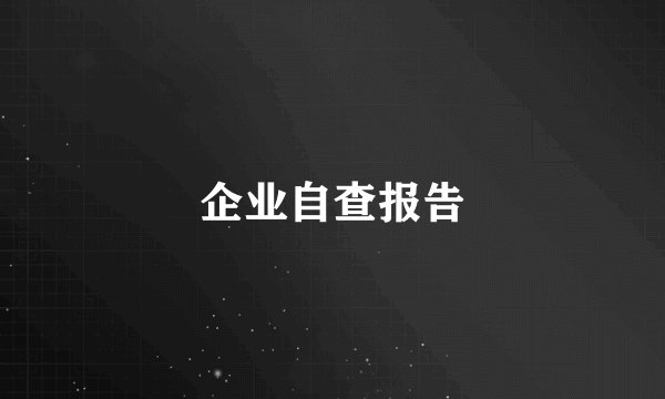 企业自查报告