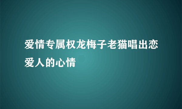 爱情专属权龙梅子老猫唱出恋爱人的心情