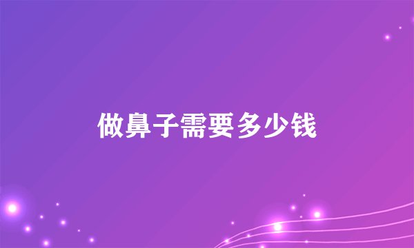 做鼻子需要多少钱