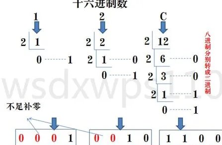 16进制转换10进制,如何转换这个数字