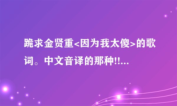 跪求金贤重<因为我太傻>的歌词。中文音译的那种!!!急····