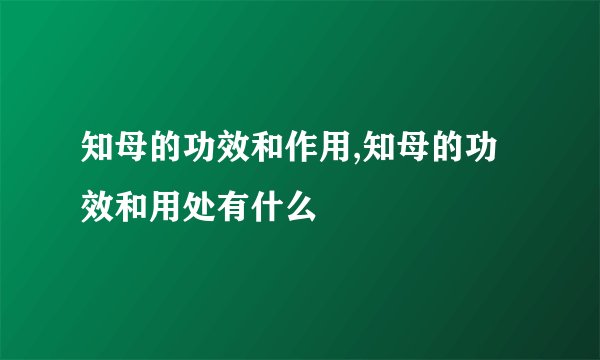 知母的功效和作用,知母的功效和用处有什么