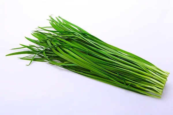 补气的食物