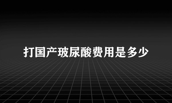 打国产玻尿酸费用是多少
