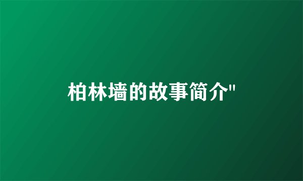 柏林墙的故事简介