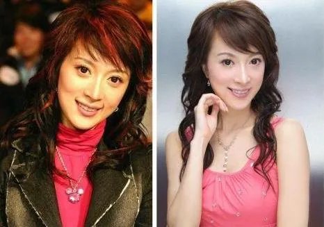 傅艺伟和金巧巧是什么关系:傅艺伟金巧巧对比照太像了