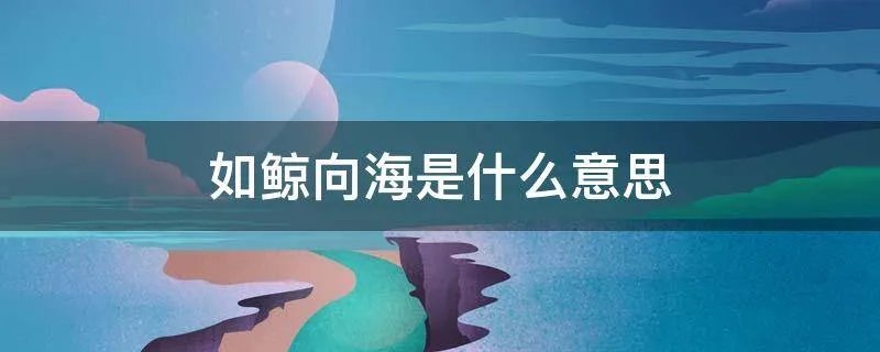 如鲸向海是什么意思